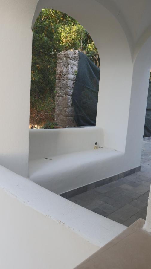 Villa Enrica กาปรี ภายนอก รูปภาพ
